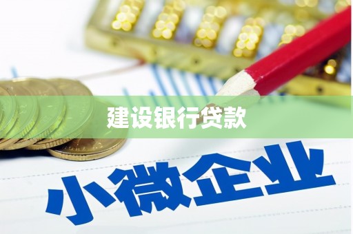 宝丰建设银行贷款