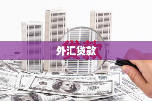 宝丰外汇贷款