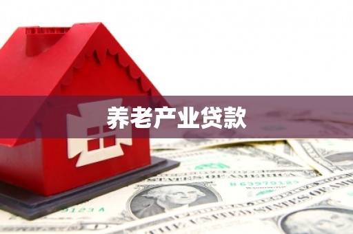 宝丰养老产业贷款