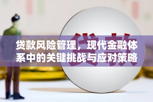 宝丰贷款风险管理，现代金融体系中的关键挑战与应对策略