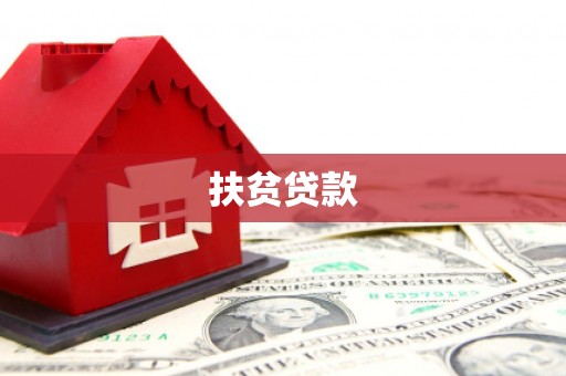 宝丰扶贫贷款