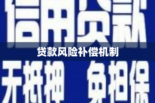 宝丰贷款风险补偿机制