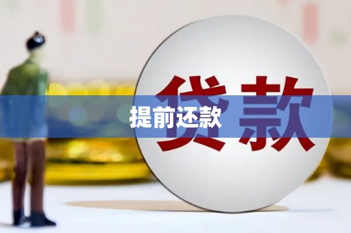 宝丰提前还款